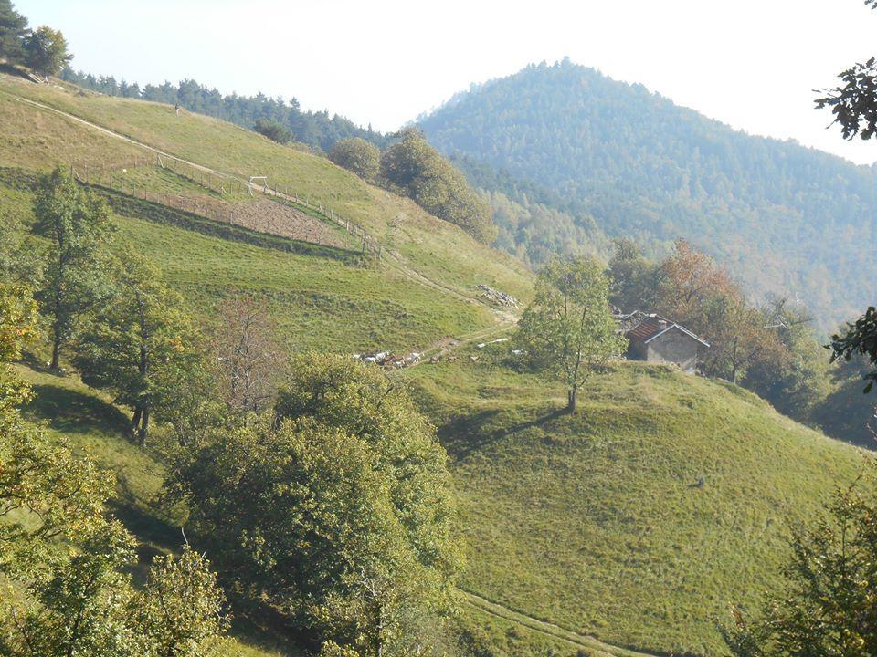 Agriturismo Fiorendo Pinerolo Bagian luar foto
