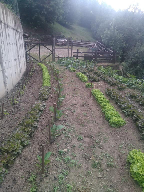 Agriturismo Fiorendo Pinerolo Bagian luar foto