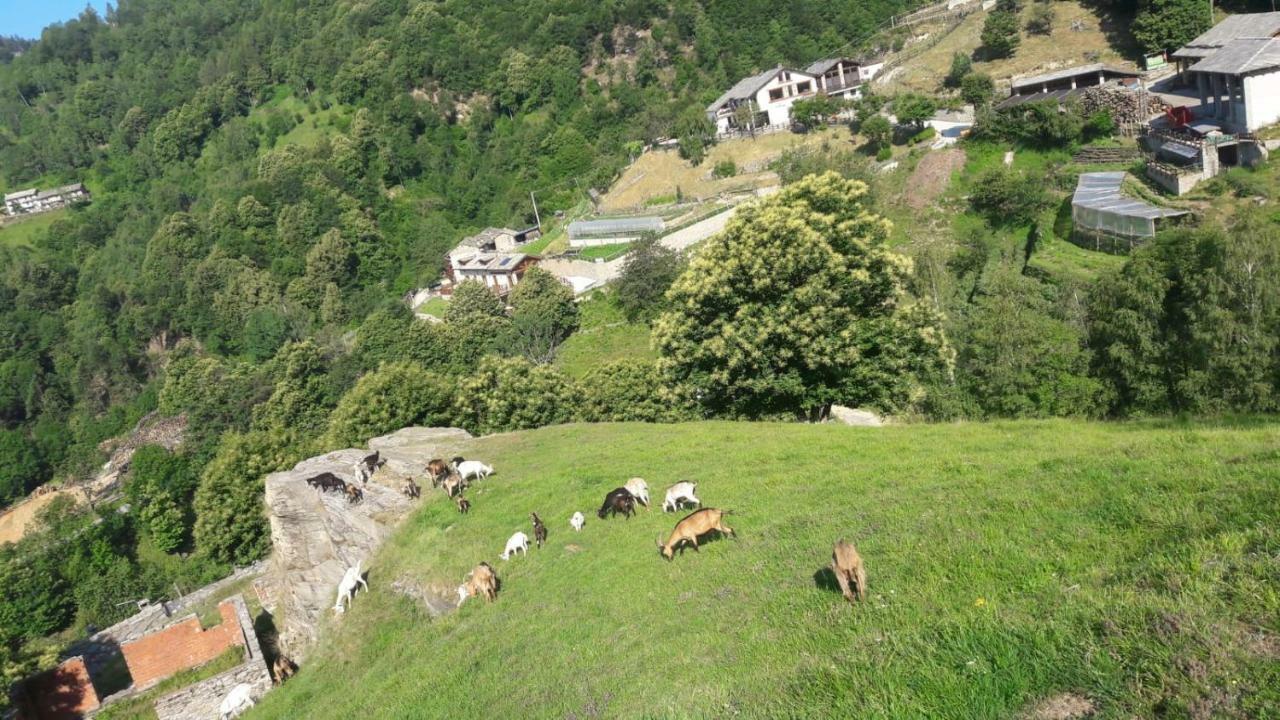Agriturismo Fiorendo Pinerolo Bagian luar foto